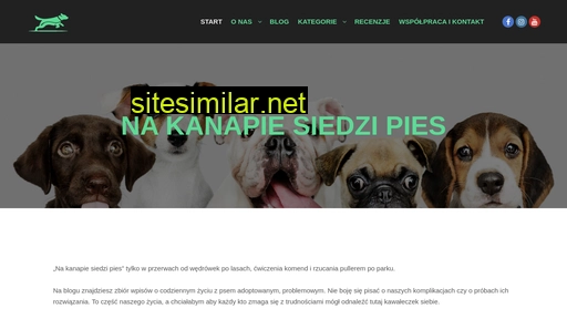 na-kanapie-siedzi-pies.pl alternative sites