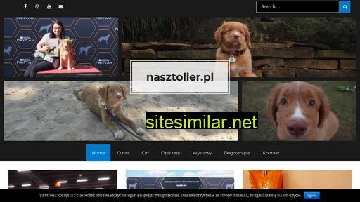 nasztoller.pl alternative sites