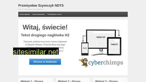 ndts.pl alternative sites
