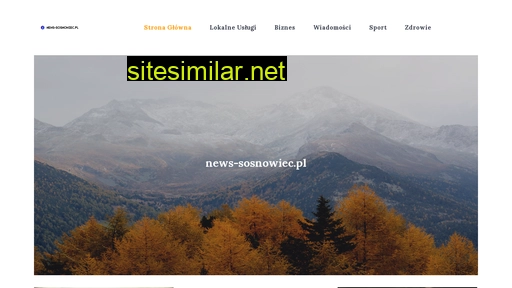 news-sosnowiec.pl alternative sites