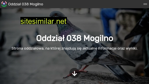 oddzial038mogilno.pl alternative sites