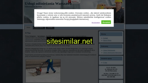 odsniezaniedachow.net.pl alternative sites