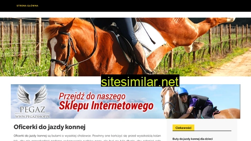 oficerkidamskie.com.pl alternative sites