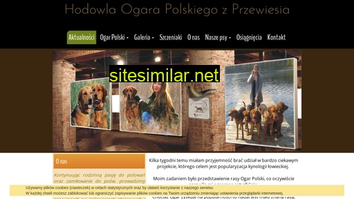ogarykartawik.pl alternative sites