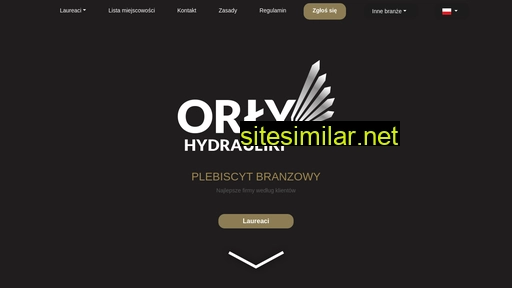 orlyhydrauliki.pl alternative sites