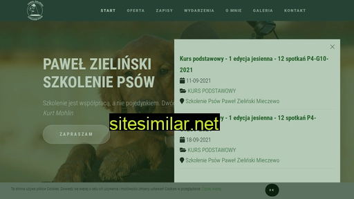 pawelzielinski.pl alternative sites