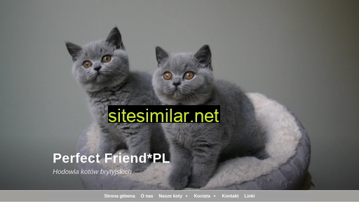 Perfectfriend similar sites