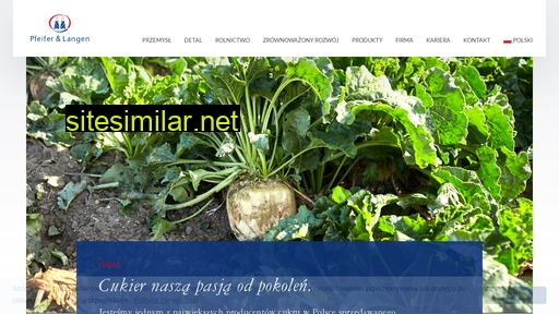 pfeifer-langen.pl alternative sites