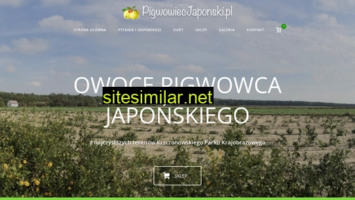 pigwowiecjaponski.pl alternative sites