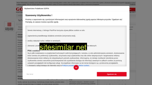 podatekakcyzowy.pl alternative sites