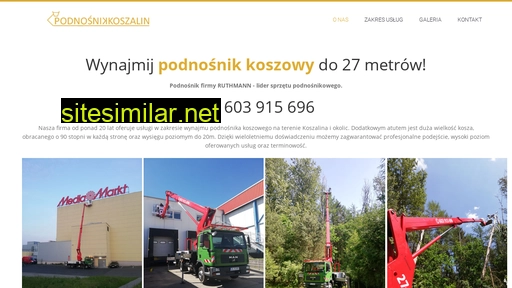 podnosnik-kosz-alin.pl alternative sites
