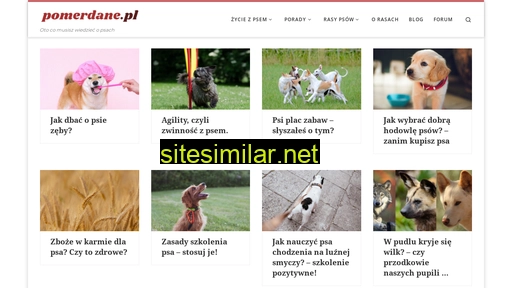 pomerdane.pl alternative sites