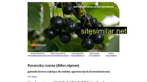 porzeczkaczarna.pl alternative sites