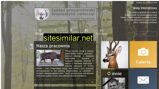 preparowanietrofeow.pl alternative sites