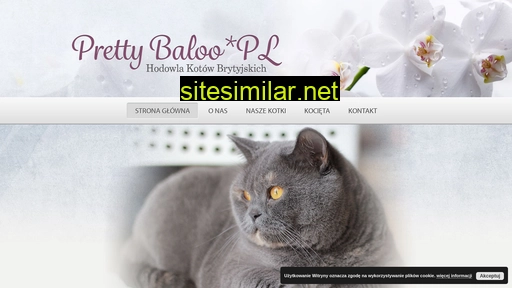 prettybaloo.pl alternative sites