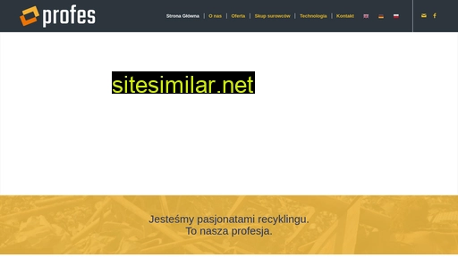 profesrecykling.pl alternative sites