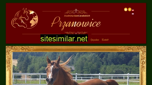 przanowice-arabians.pl alternative sites