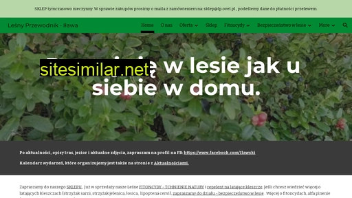 przewodnik.ilawa.pl alternative sites