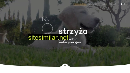 przychodniastrzyza.pl alternative sites