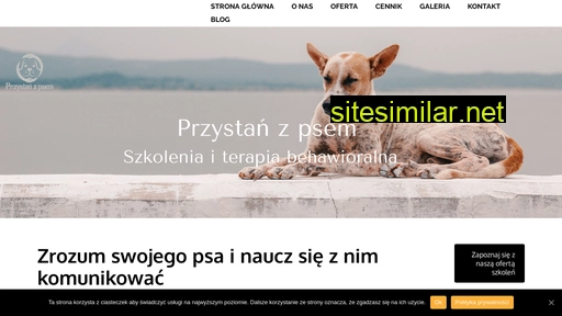 przystanzpsem.pl alternative sites