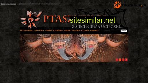 ptasznik.pl alternative sites