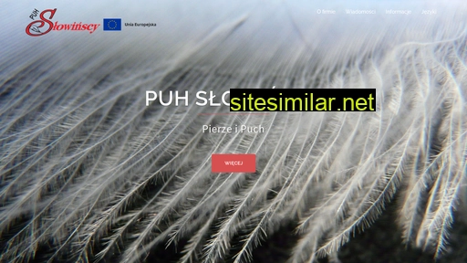 puhslowinscy.pl alternative sites