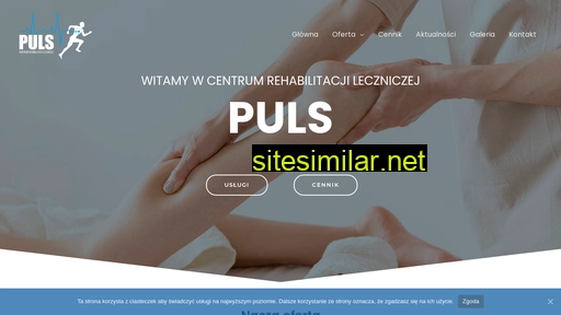 puls.katowice.pl alternative sites