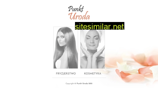punkturoda.pl alternative sites