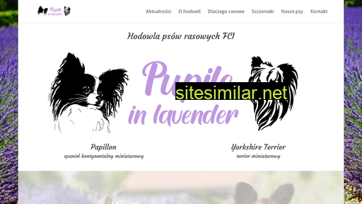 pupile-in-lavender.pl alternative sites