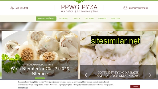 pyzalublin.pl alternative sites