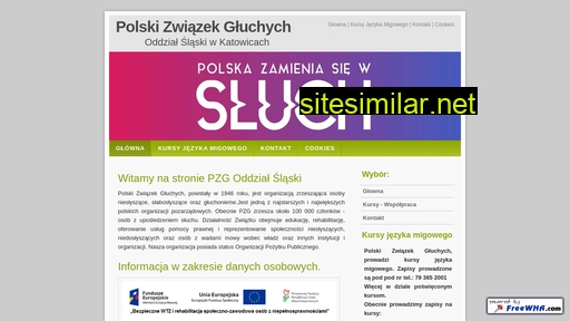 pzg.slask.pl alternative sites