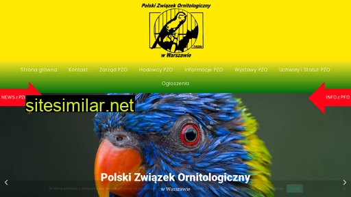 pzowarszawa.pl alternative sites