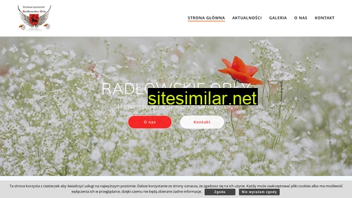 radlowskieorly.pl alternative sites