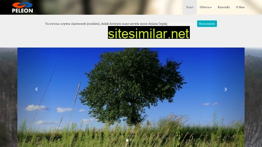 rcmotor.pl alternative sites