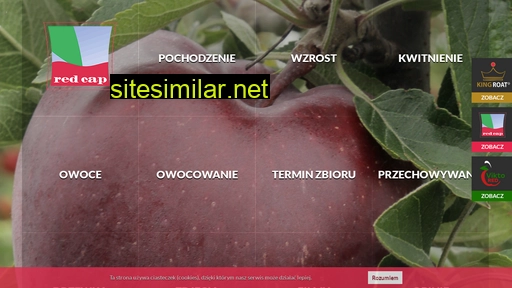 redcap.pl alternative sites
