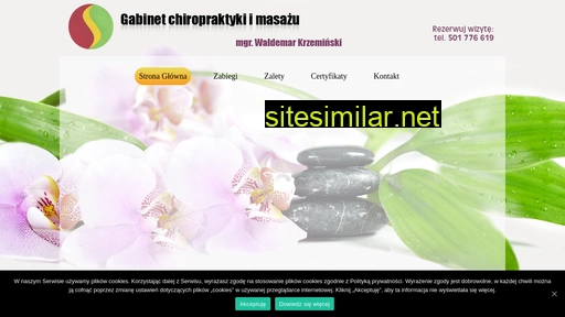 rehabilitacjakrzeminskimikolow.pl alternative sites