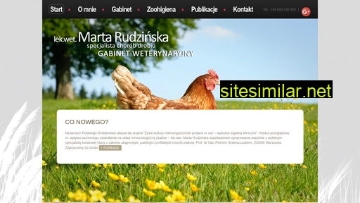 rudzinska.pl alternative sites