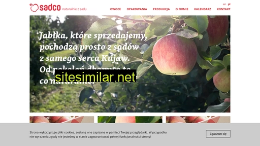 sadco.pl alternative sites