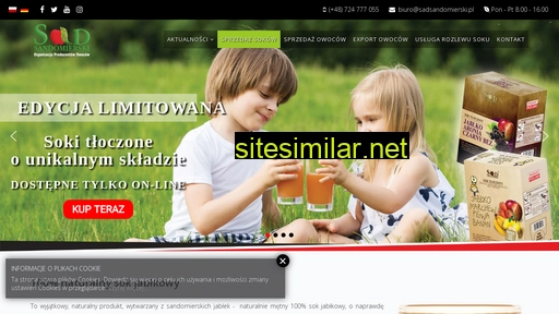 sadsandomierski.pl alternative sites