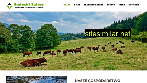salers.pl alternative sites