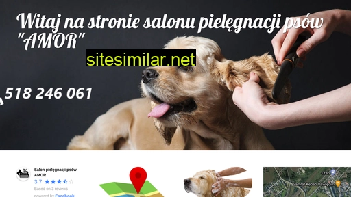 salonpsichfryzur.pl alternative sites
