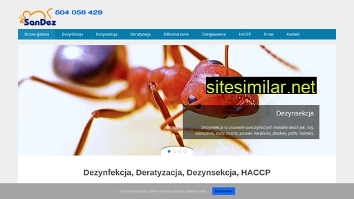 sandez.pl alternative sites