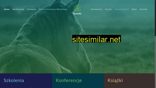 sassebi.pl alternative sites
