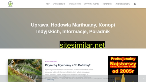 seeds.com.pl alternative sites