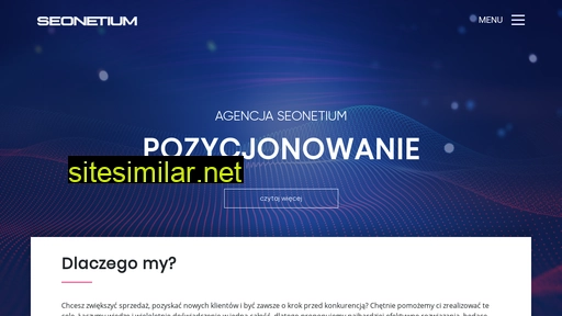seonetium.pl alternative sites