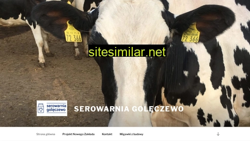 serowarniagoleczewo.pl alternative sites