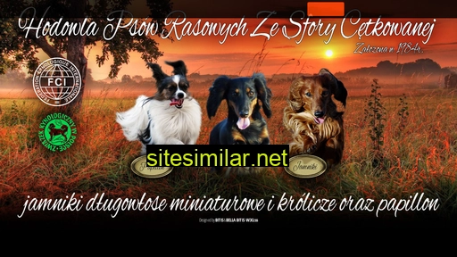 sforacent.pl alternative sites