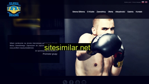 silesiaboxing.com.pl alternative sites