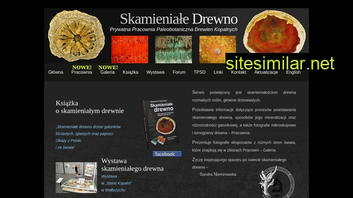 skamienialedrewno.pl alternative sites