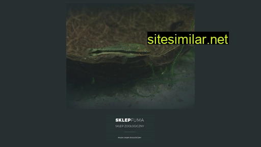 sklepfuma.pl alternative sites